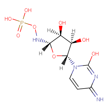 5'-azacytidine 5'-monophosphate