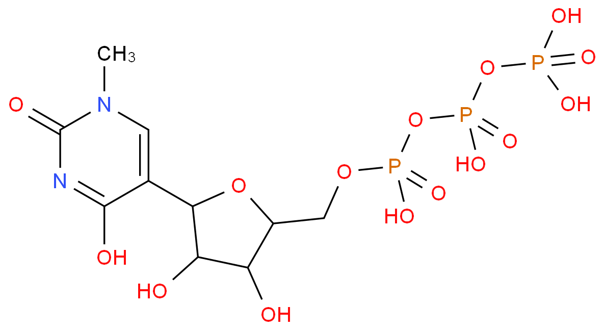 狈1-甲基假尿苷叁磷酸溶液/1428903-59-6