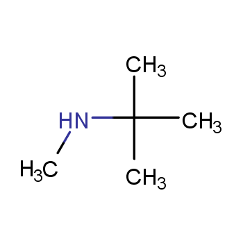 N-叔丁甲胺 14610-37-8 H27242-5g
