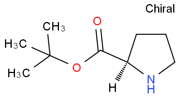 D-脯氨酸叔丁酯