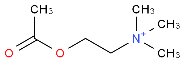 ACETYLCHOLINE IODIDE, [ACETYL-1-14C] structural formula image