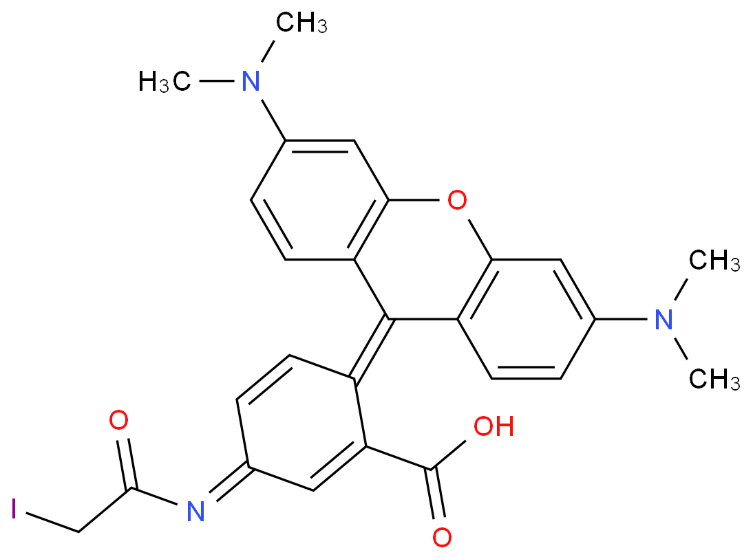 Tetramethylrhodamine-5-iodoacetamidedihydroiodide(5-TMRIA)