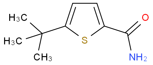 5-TERT-BUTYL-THIOPHENE-2-CARBOXAMIDE