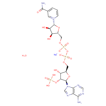 NADP+ (sodium salt hydrate)