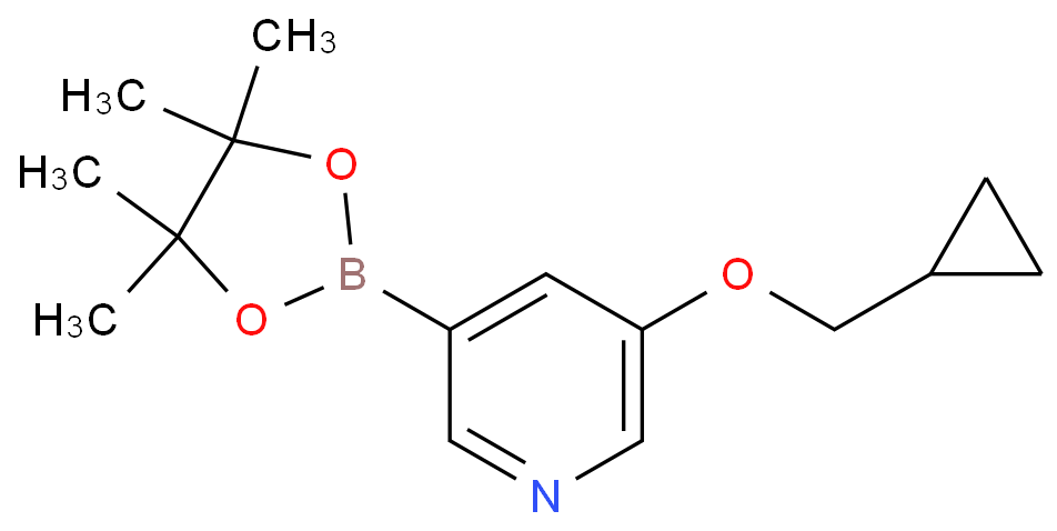 3-(环丙基甲氧基)-5-(4,4,5,5-四甲基-1,3,2-二氧硼戊烷-2-基)吡啶/1257553-87-9