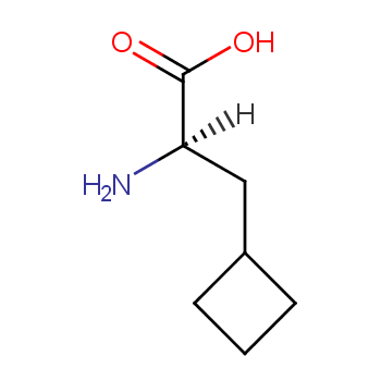 D-Cyclobutylalanine