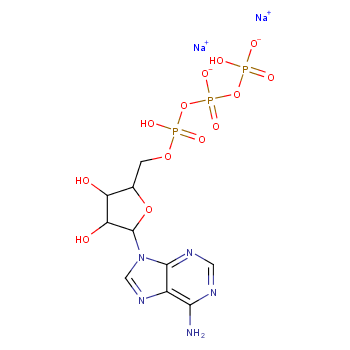 Adenosine5'-(tetrahydrogen triphosphate), sodium salt (1:2)