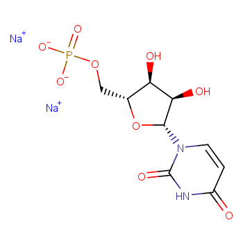 5ˊ-尿苷酸二钠(UMP) 3387-36-8 U106892-25g