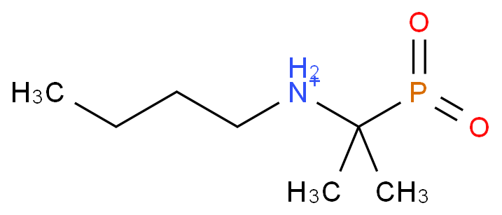2-(butylamino)propan-2-yl-hydroxy-oxophosphanium