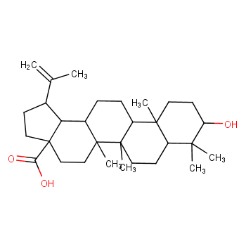 白桦脂酸化学结构式