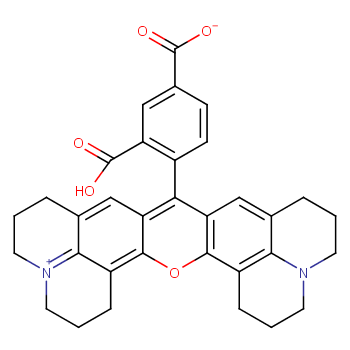 5-Carboxy-X-rhodamine; 5-ROX  