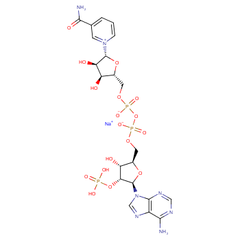 β-烟酰胺腺嘌呤二核苷酸磷酸(一钠盐)1184-16-3