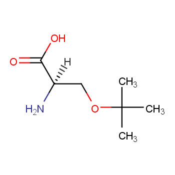 O-叔丁基-D-丝氨酸