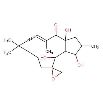 环氧续随子醇