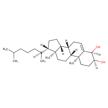 Valid C_C4H460_21 Test Materials