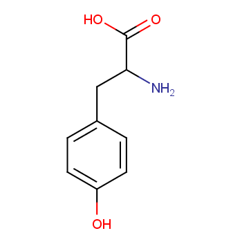 L-Tyrosine structure