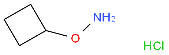 O-Cyclobutyl-hydroxylamine hydrochloride