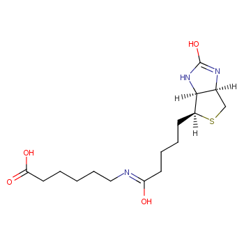 (+)-BIOTIN-EPSILON-AMINOCAPROIC ACID
