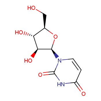 阿糖-尿苷3083-77-0