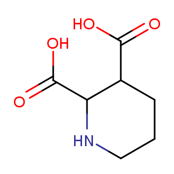 哌啶-2,3-二甲酸