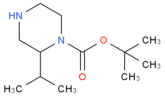 tert-butyl 2-propan-2-ylpiperazine-1-carboxylate