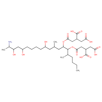 Fumonisin B1, 96%, 116355-83-0, 1mg