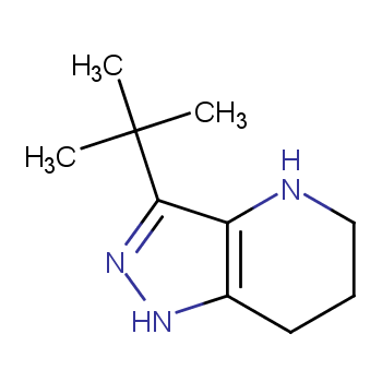 3-tert-butyl-4,5,6,7-tetrahydro-1H-pyrazolo[4,3-b]pyridine