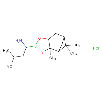 (R)-BoroLeu-(+)-Pinanediol-HCl