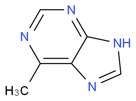6-Methylpurine  