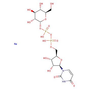 Uridine 5'-Diphosphoglucose Disodium Salt China supplier  