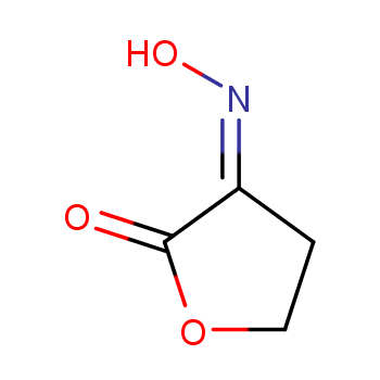 dihydrofuran-2,3-dione 3-oxime