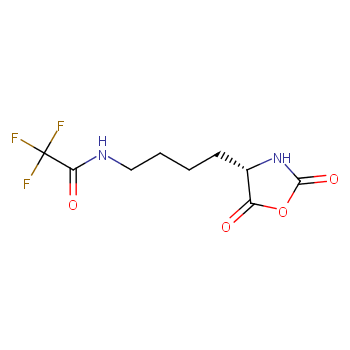 N-[4-[(4S)-2,5-dioxo-1,3-oxazolidin-4-yl]butyl]-2,2,2-trifluoroacetamide