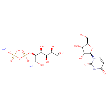 Uridine-5\'-diphosphoglucose disodium salt