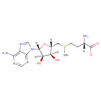 腺苷蛋氨酸化学结构式