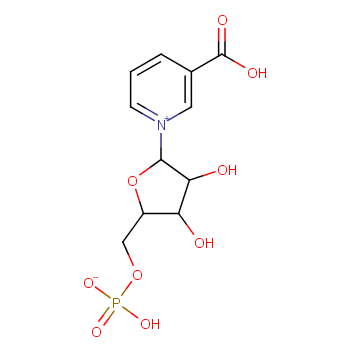 NICOTINIC ACID MONONUCLEOTIDE