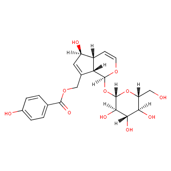 [(1S,4aR,5S,7aS)-5-hydroxy-1-[(2S,3R,4S,5S,6R)-3,4,5-trihydroxy-6-(hydroxymethyl)oxan-2-yl]oxy-1,4a,5,7a-tetrahydrocyclopenta[c]pyran-7-yl]methyl 4-hydroxybenzoate