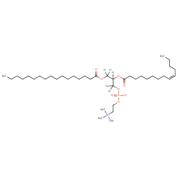[2H5]-1-十七烷酰-2-十四碳烯酰(Δ9-顺)-sn-甘油-3-磷脂酰胆碱