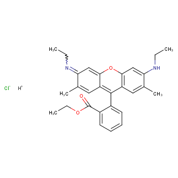 RhodaMine 6GCP(Basic Red 1)
