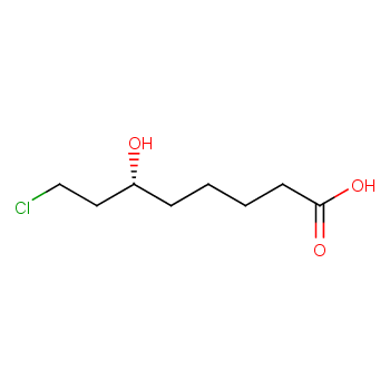 8-氯-6-羟基辛酸