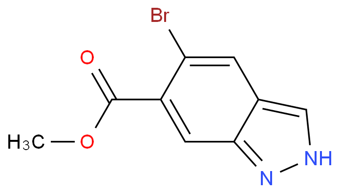 5-溴-甲基 [1h]吲唑-6-羧酸化学结构式