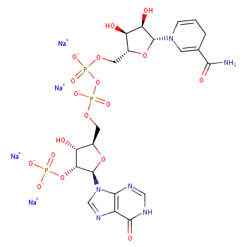 還原輔酶Ⅱ四鈉鹽/煙酰胺腺嘌呤二核苷酸磷酸四鈉鹽/β-NADPH/TPNH2 Na4/β-Nicotinamide adenine dinucleotide 2′-phosphate reduced tetrasodium salt hydrate