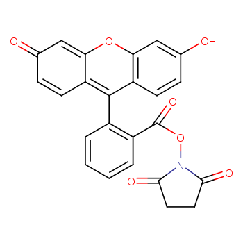 5(6)-羧基荧光素琥珀酰亚胺酯117548-22-8