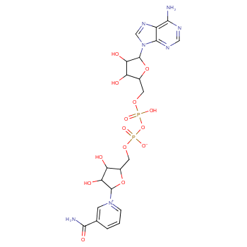 β-烟酰胺腺嘌呤二核苷酸(氧化型辅酶I)53-84-9
