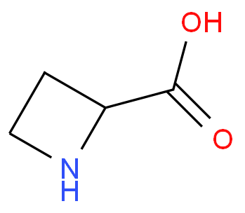 Azetidine-2-carboxylic acid