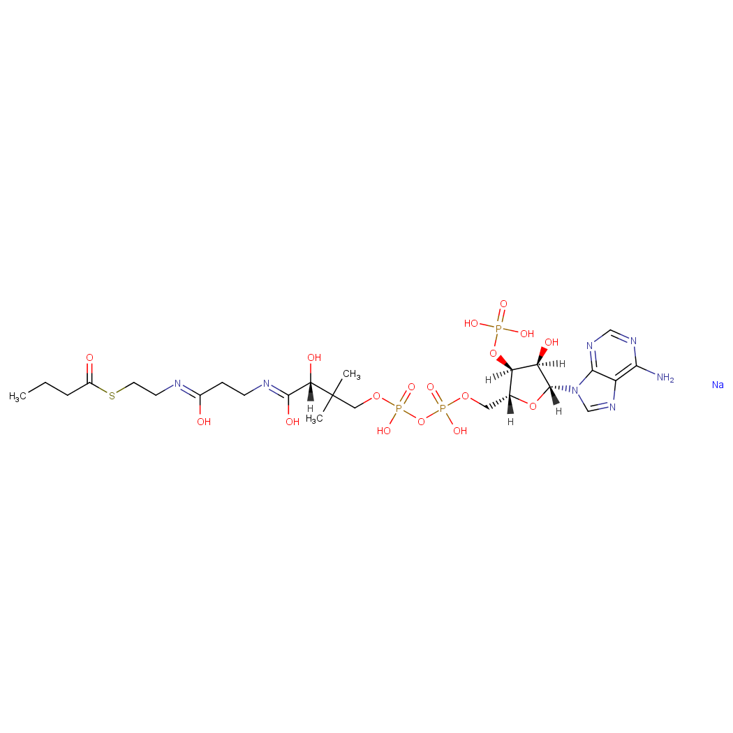 butyryl-coenzyme-a-sodium-salt