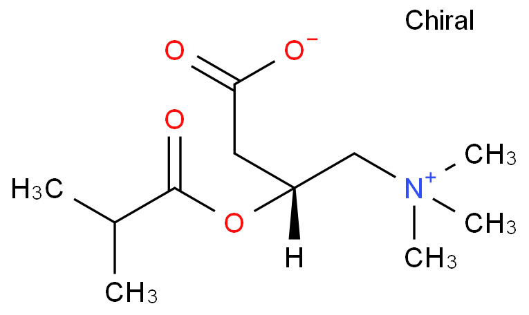 异丁酰-L-肉碱