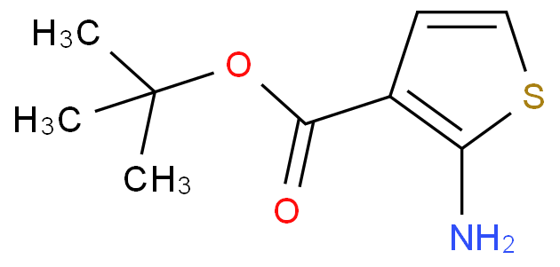 2-氨基噻吩-3-甲酸叔丁酯