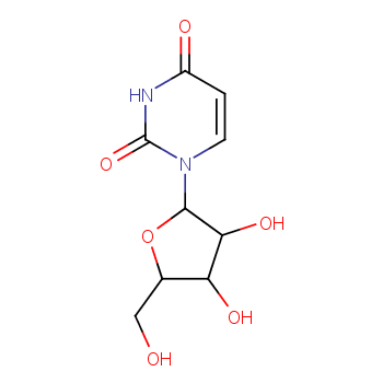 Uridine structure