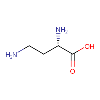 L-2,4-diaminobutyric acid