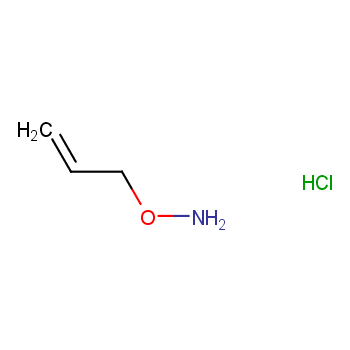 O--2-Propenyl-hydroxylamine hydrochloride  